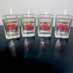 4 HOT DAMN! Shot Glasses. Excellent Condition-Barely Used. (Have more if needed)